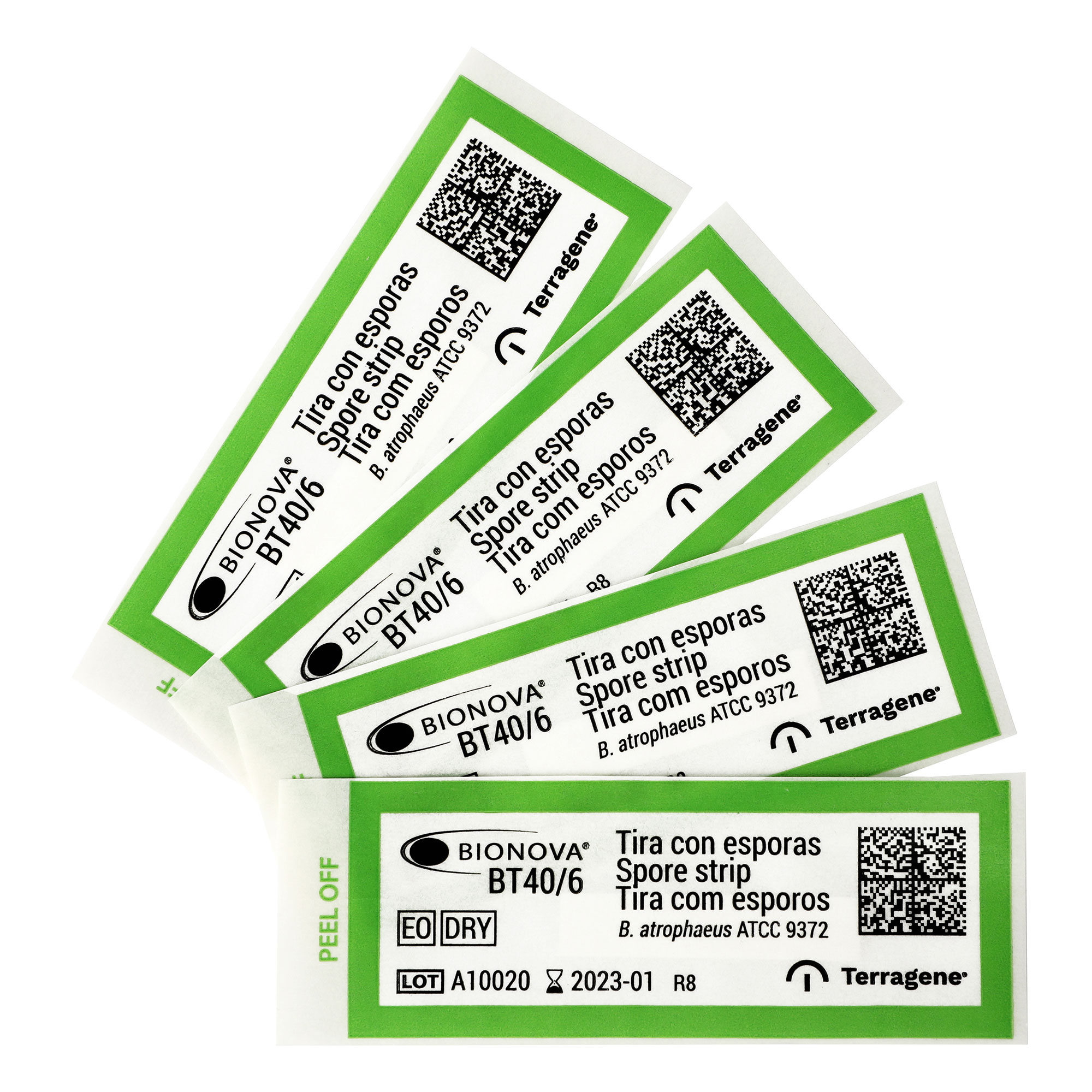 Біологічний індикатор для процесів етиленоксидної та сухожарової стерилізаці